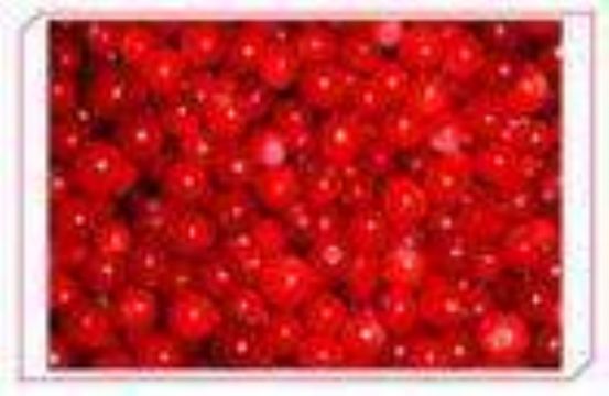 Sell Lingonberry Anthocyanin